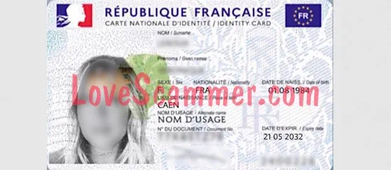 Fake passports look real